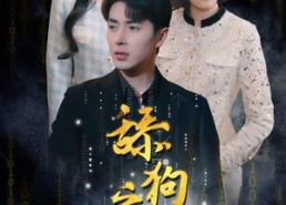 【开局被甩成为神豪大佬】100集短剧在线免费全集观