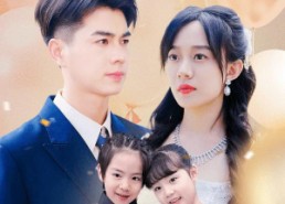 【闪婚后禁欲大佬带崽求名分】83集短剧在线免费赏看