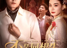 【不是同根生出嫁现原形】60集短剧免费全集观览