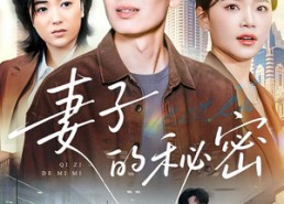 【妻子的秘密】30集短剧免费全集在线阅
