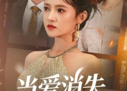 【当爱消失在风中】73集短剧在线无删减看
