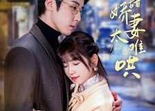 【乖甜娇妻太难哄】100集短剧在线免费完整赏