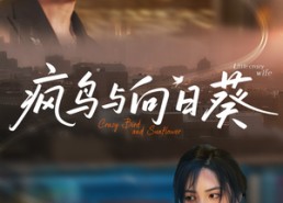 【疯鸟与向日葵】40集短剧免费高清在线看