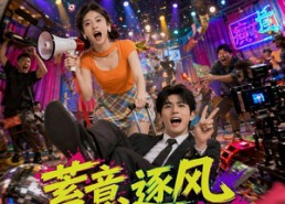 【蓄意逐风之恋综奇缘】72集热门短剧免费在线速看