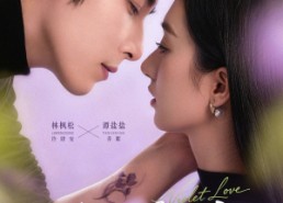 【紫罗兰之恋】82集短剧在线免费全集赏