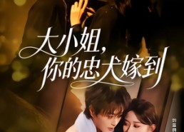 【大小姐，你的忠犬嫁到】80集高清短剧免费在线播