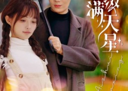 【爱缀满天星】52集短剧无删减在线观看