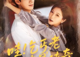 【哇乞丐老婆是传奇】61集短剧免费全集赏看