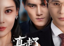 【真走了你又要复婚】60集短剧全集免费在线观