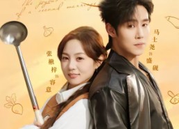 【二婚喜事】73集优质短剧免费全集观览