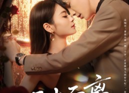 【三十而离】81集免费短剧在线全集速看