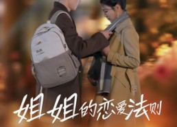 【姐姐的恋爱法则】39集短剧全集高清观看