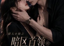 【猎人小姐之暗区首领的专属猎物】23集短剧全集免费畅看