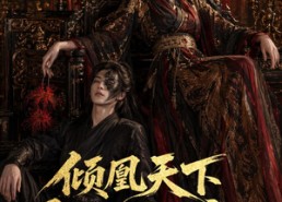【倾凰天下，影卫独宠】49集高清短剧在线免费播放