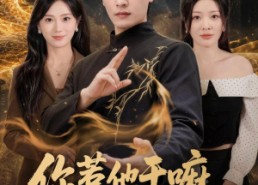 【你惹他干嘛，他是大夏守护神】78集短剧免费全集在线播放