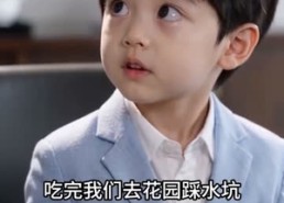 【冰山总裁独宠厨娘】50集短剧免费完整观看