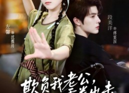 【欺负我老公，少夫人重拳出击】70集短剧免费高清观看
