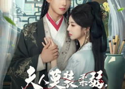 【夫人莫装柔弱为夫看见你打人了】82集免费在线短剧全集快看