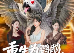 【重生为鹦鹉，我整活超级进化】70集短剧全网免费在线看