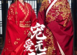 【宠爱无疆之嫡公主的锦绣荣华】71集短剧全集免费速看