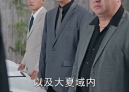 【无双之最强老爸】60集免费短剧畅快观看