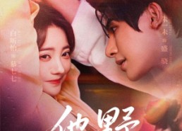 【他野】71集免费短剧在线观享