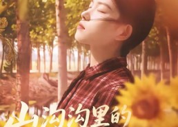 【山沟沟里的金凤凰】75集短剧免费高清观看
