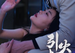 【引火烧身】82集短剧免费全集速看
