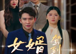 【女婿驾到，通通闪开】34集免费短剧在线畅快览