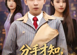 【分手才知，她暗恋我十七年】80集短剧全集高清在线观看