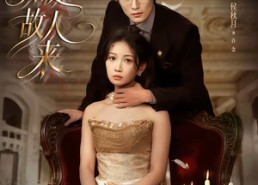 【无人知是故人来】60集短剧免费全集在线观享