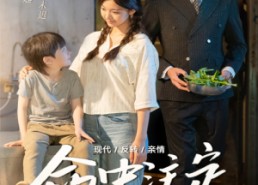 【命中注定缘归来】63集短剧免费高清在线看