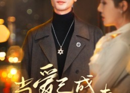 【当爱已成往事】30集在线短剧免费赏看