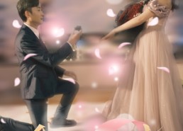 【念念已忘】30集短剧全集免费在线览