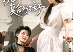 【沈先生我们复合好不好】60集在线短剧免费畅看