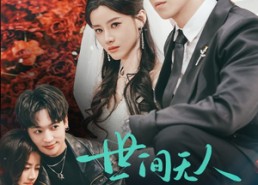 【世间无人再似我】32集在线赏短剧全集