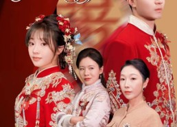 【蛇年大吉之婚不可挡】50集短剧在线免费完整观看