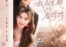 【听懂喵喵语，我在京都混成了香饽饽】50集免费短剧在线畅享看