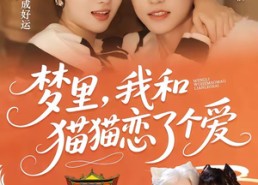 【梦里，我和猫猫恋了个爱】72集短剧免费高清观看
