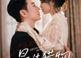 【最佳猎物】80集精彩短剧免费在线览看