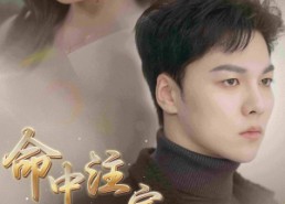 【命中注定我爱你】75集热门短剧在线尽情看