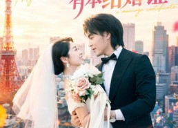 【我和上司有本结婚证】71集免费短剧全集在线赏映