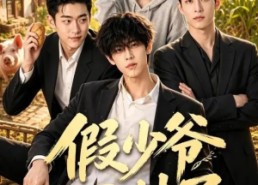 【假少爷回村了】57集短剧免费全集赏看