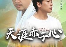 【天涯赤子心】60集短剧在线免费全集观