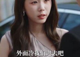 【夺妻】70集短剧完整版在线播放