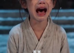 【玉兔捣药：医女定乾坤】66集短剧全集免费观览