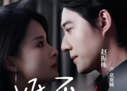 【婚不容情】89集短剧全集在线免费观赏