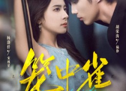 【笼中雀】65集全集短剧网盘免费观看