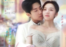 【玫瑰再开时】59集在线短剧全集免费畅快看