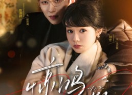 【惊鸿一瞥】72集短剧免费高清在线看